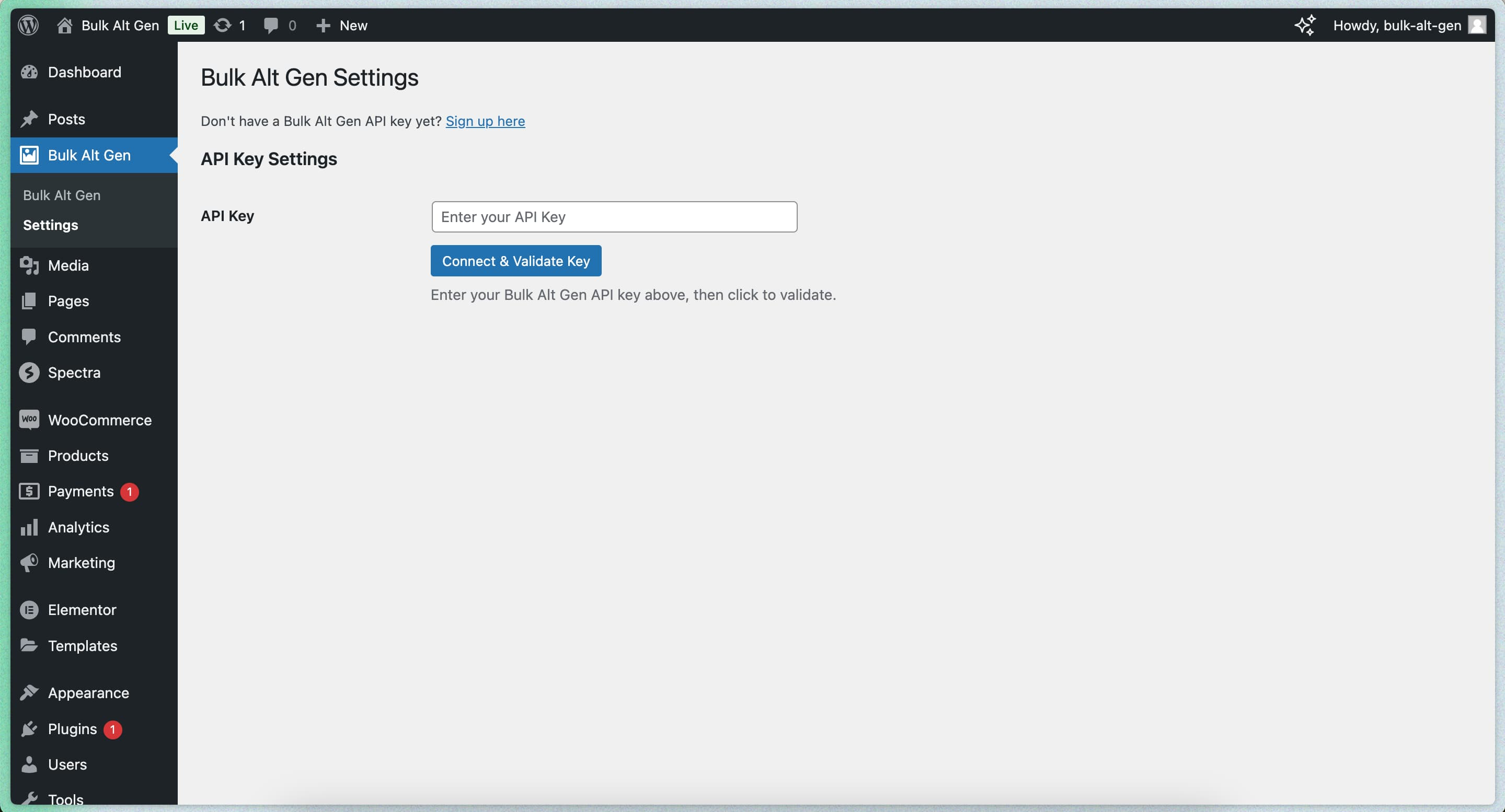 Screenshot of the settings page where you enter your API key